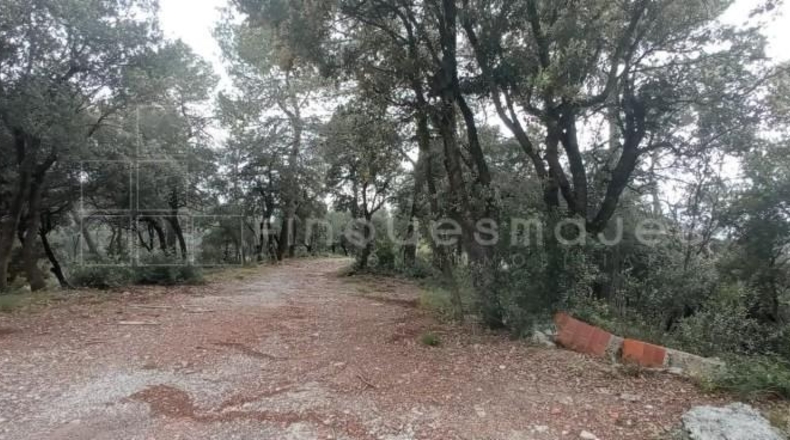Barcelona - Vacarisses - 2860m2