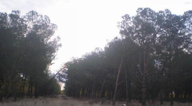 Salamanca - Pelabravo - 80750m2