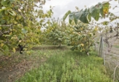 Terreno no urbanizable en venta en la España, Salobreña, ref: TR406411 foto