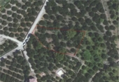 Terreno no urbanizable en venta en la España, Salobreña, ref: TR406411 foto