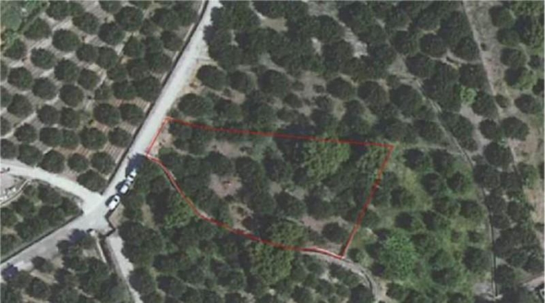 Granada - Salobreña - 3052m2