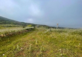 Terreno no urbanizable en venta en la España, Ingenio, ref: TR410200 foto