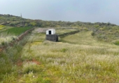 Terreno no urbanizable en venta en la España, Ingenio, ref: TR410200 foto