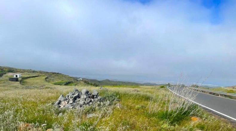Las Palmas - Ingenio - 20000m2