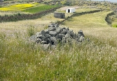 Terreno no urbanizable en venta en la España, Ingenio, ref: TR410200 foto