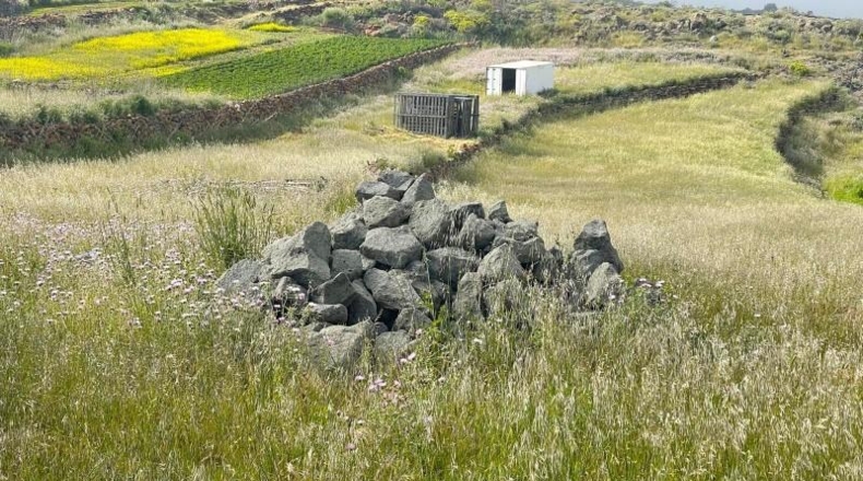 Las Palmas - Ingenio - 20000m2