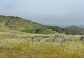 Terreno no urbanizable en venta en la España, Ingenio, ref: TR410200 foto