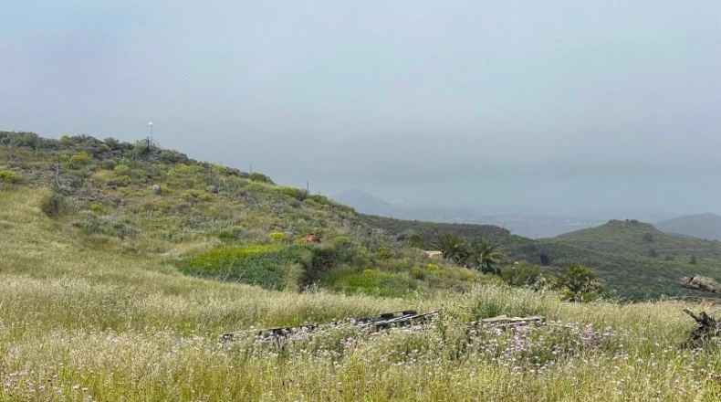 Las Palmas - Ingenio - 20000m2