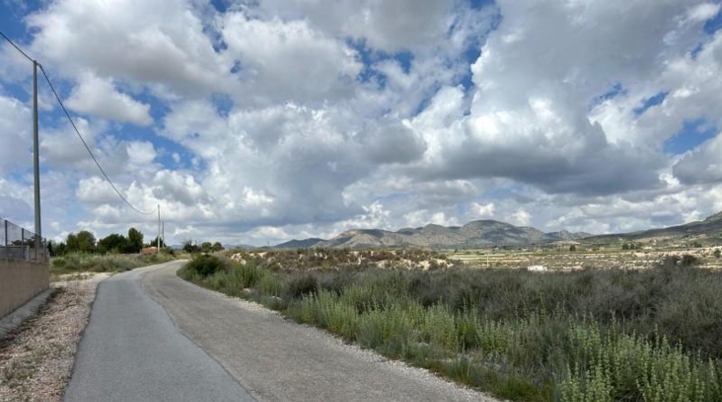 Alicante - Novelda - 15000m2