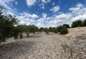 Chalet independiente con terreno en venta en la España, Novelda, ref: TR411172 foto