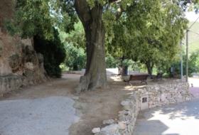 la Joncosa del Montmell 1800&nbsp;m²