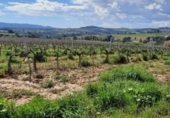 Urban land for sale on España, Sant Llorenç d'Hortons, ref: TR240425 photo