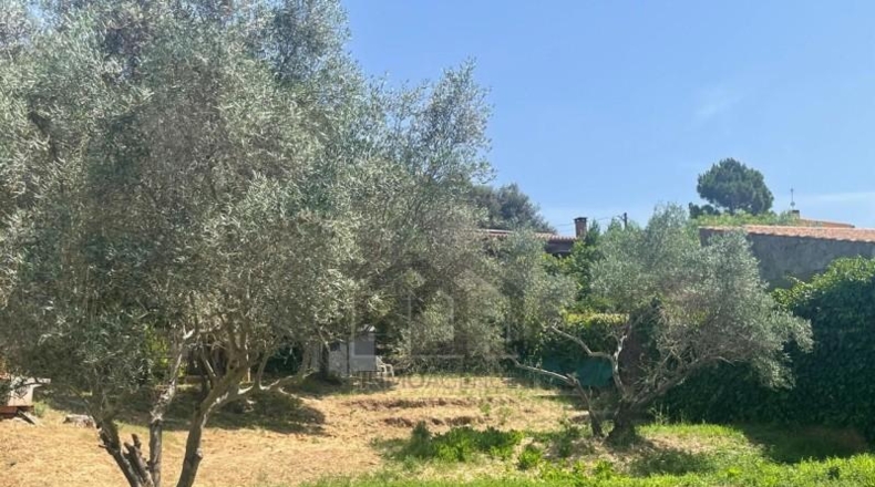 Barcelona - Rellinars - 805m2