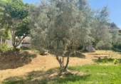 Suelo urbano en venta en la España, Rellinars, ref: TR254988 foto