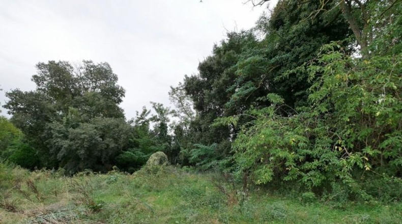 Gerona - Foixà - 321m2