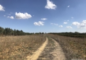Xalet independent amb terreny en venda a la España, Rociana del Condado, ref.: TR332208 foto