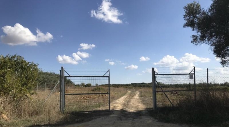 Huelva - Rociana del Condado - 12592m2