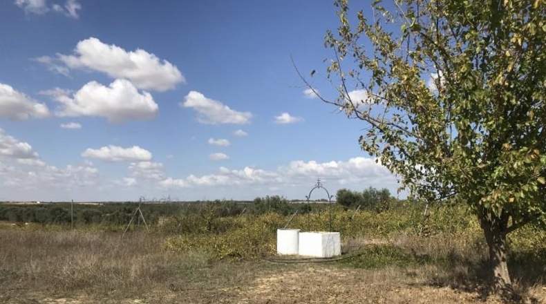 Huelva - Rociana del Condado - 12592m2