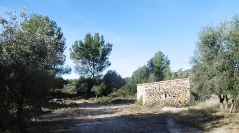 Castellón - Sierra Engarcerán - 13804m2
