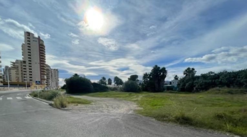 Valencia - Tabernes de Valldigna - 1357m2