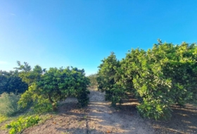 Foto 20