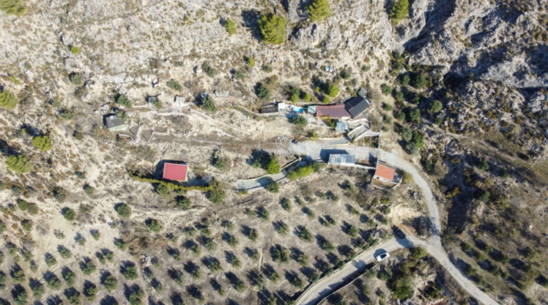 Sevilla - Olivares - 5000m2