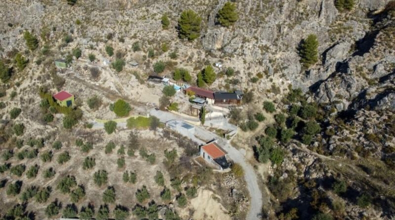 Sevilla - Olivares - 5000m2
