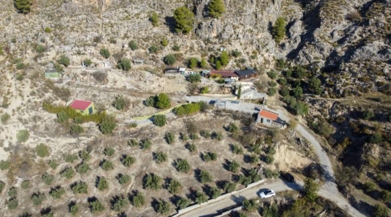 Sevilla - Olivares - 5000m2