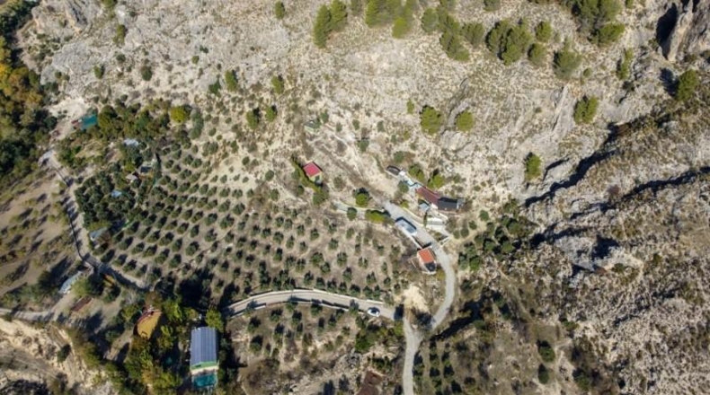 Sevilla - Olivares - 5000m2