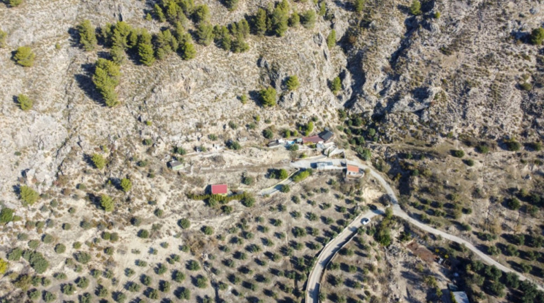 Sevilla - Olivares - 5000m2