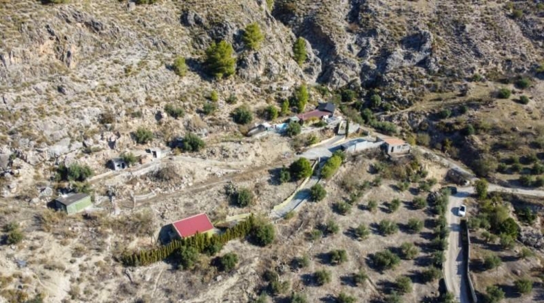 Sevilla - Olivares - 5000m2