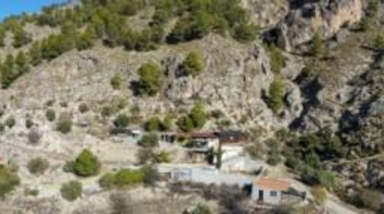 Sevilla - Olivares - 5000m2