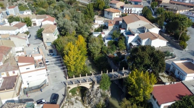 Sevilla - Olivares - 5000m2