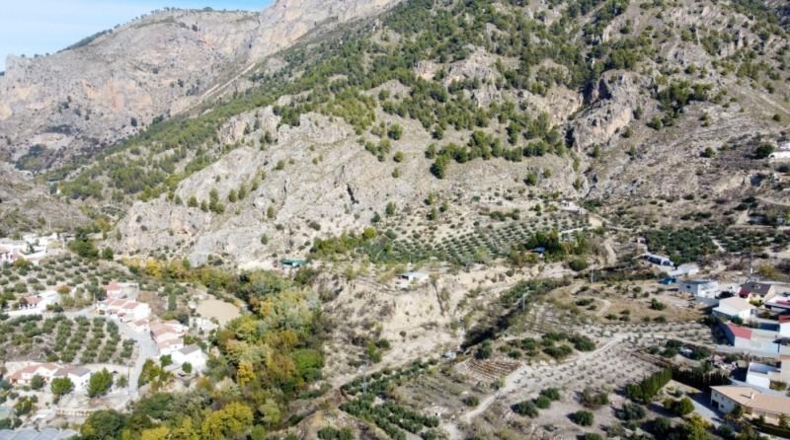 Sevilla - Olivares - 5000m2