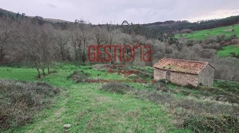 Cantabria - Penagos - 15168m2