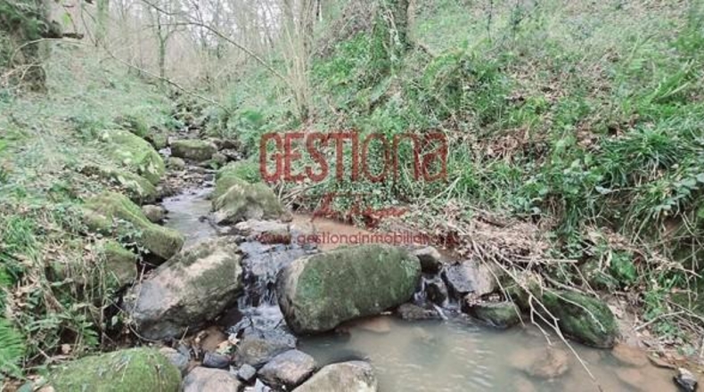 Cantabria - Penagos - 15168m2