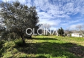 Casa de campo con terreno en venta en la España, Palma de Gandía, ref: TR399974 foto