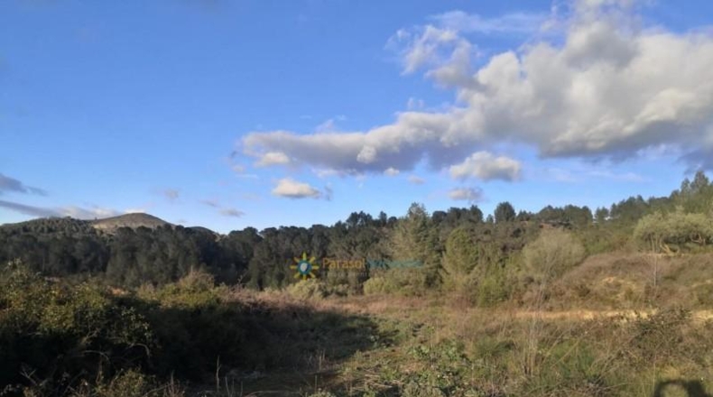 Valencia - Benigánim - 8715m2