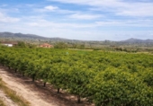 Casa de campo con terreno en venta en la España, Benigànim, ref: TR409543 foto