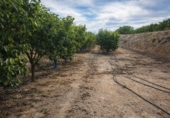 Casa de campo con terreno en venta en la España, Benigànim, ref: TR409543 foto