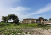 Terreny no urbanitzable en venda a la España, Manacor, ref.: TR242886 foto