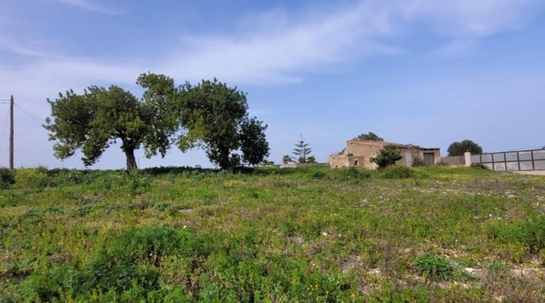 Balearic Islands - Manacor - 60m2