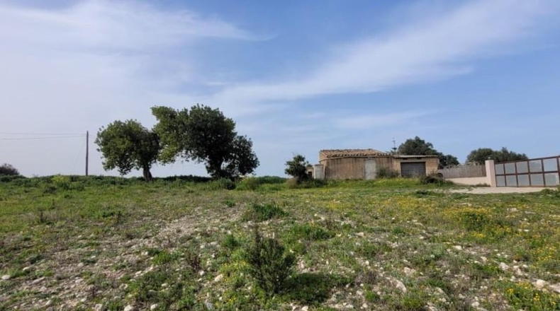 Balearic Islands - Manacor - 60m2