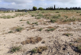 Totana 7000&nbsp;m²