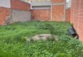 Suelo urbano en venta en la España, Quartell, ref: TR241948 foto