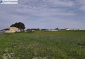 House with land for sale on España, Albacete, ref: TR403878 photo