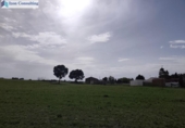 House with land for sale on España, Albacete, ref: TR403878 photo