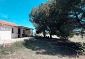 Chalet independiente con terreno en venta en la España, Almansa, ref: TR404329 foto