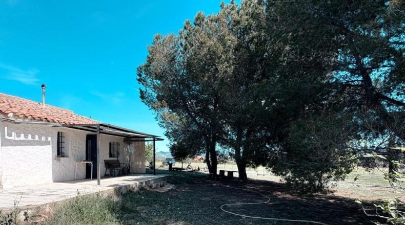 Albacete - Almansa - 67131m2