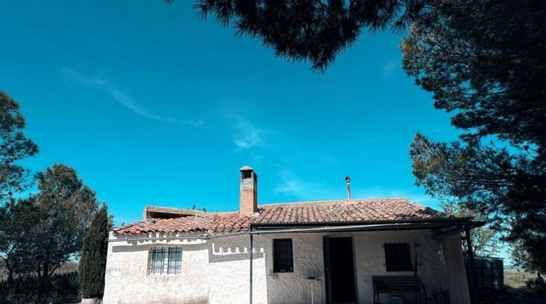 Albacete - Almansa - 67131m2